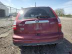 2011 Honda Cr-V Exl na sprzedaż w Cicero, IN - Front End