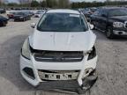 Madisonville, TN에서 판매 중인 2013 Ford Escape Se - All Over