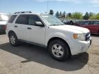 2011 Ford Escape Xlt за продажба в Pennsburg, PA - Rear End