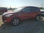 2016 Ford Escape Se for Sale in Indianapolis, IN - Rear End