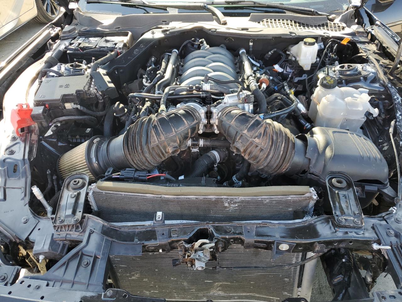 1FA6P8CF1R5416942 FORD MUSTANG 2024