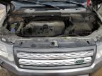 2011 Land Rover Lr2 Hse იყიდება Blaine-ში, MN - Rear End