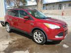 2013 Ford Escape Se for Sale in Albuquerque, NM - Minor Dent/Scratches