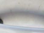 2014 MAZDA 3 SE-L NAV for sale at Copart YORK