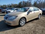 2007 LEXUS ES 350 for sale at Copart ON - COOKSTOWN