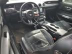 2021 Ford Mustang  for Sale in Houston, TX - Hail