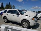 2012 Ford Escape Xlt for Sale in Graham, WA - Front End