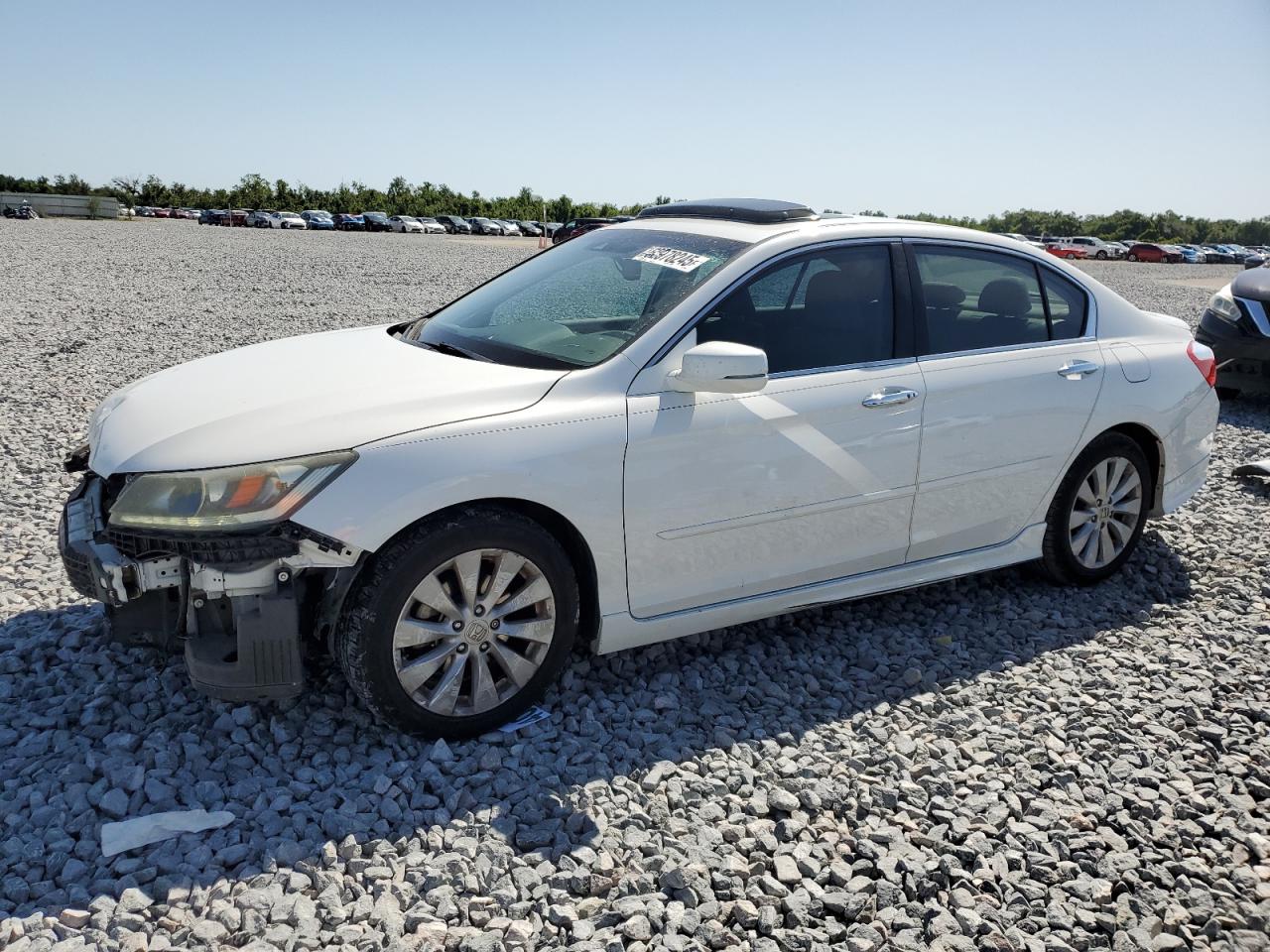 2014 Honda Accord Exl for Sale in Arcadia, FL - All Over