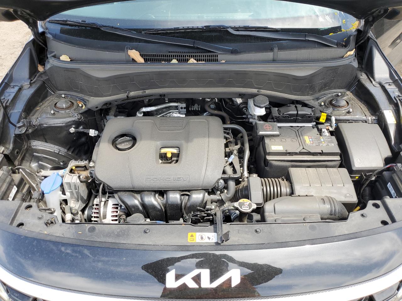 2024 Kia Seltos Ex VIN: KNDER2AA7R7654013 Lot: 52918205