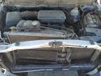 San Antonio, TX에서 판매 중인 2002 Dodge Ram 1500  - Top/Roof