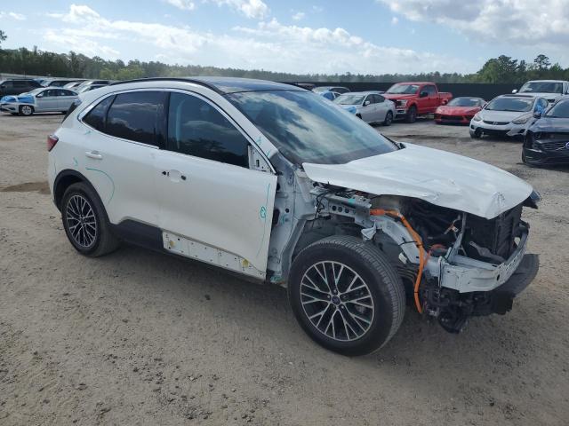  FORD ESCAPE 2022 Белы
