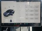2023 Tesla Model Y  for Sale in Louisville, KY - Hail