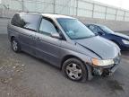 2000 Honda Odyssey Ex en Venta en Albuquerque, NM - Rear End