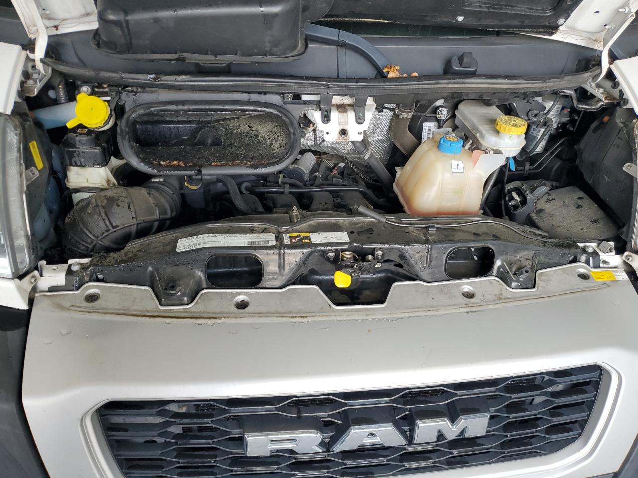2019 Ram Promaster 1500 1500 High VIN: 3C6TRVBG1KE547404 Lot: 52637575