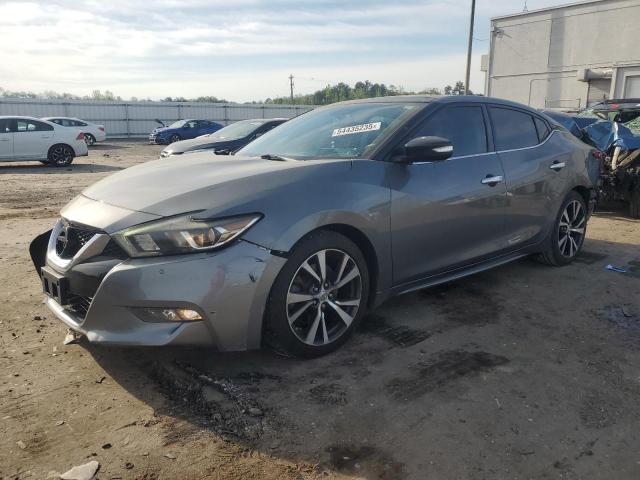 Седаны NISSAN MAXIMA 2016 Серый