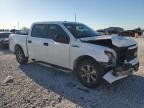 2019 Ford F150 Supercrew   for Sale in Temple, TX - Front End