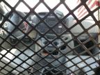 2011 Ford Econoline E150 Van for Sale in Madisonville, TN - Mechanical