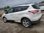 2014 Ford Escape Se за продажба в Dyer, IN - Front End