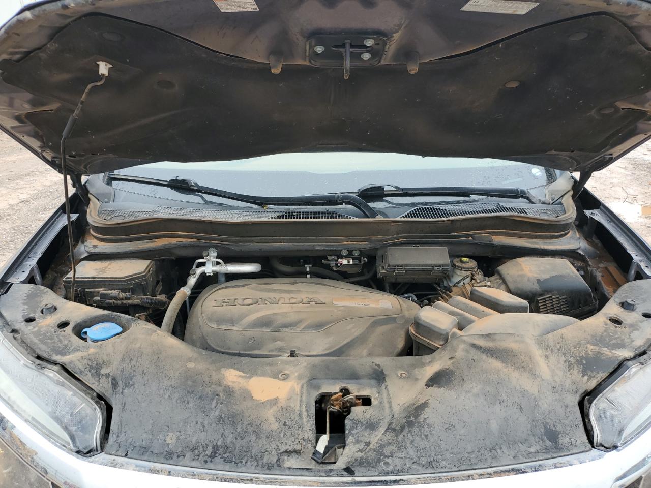 2018 Honda Pilot Exln VIN: 5FNYF5H73JB020651 Lot: 51505225