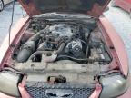 2003 Ford Mustang  for Sale in Riverview, FL - Rear End