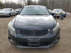 2009 HONDA ACCORD EXL for sale at Copart ON - COOKSTOWN