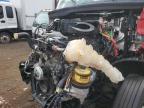 2024 Freightliner Cascadia 126 Semi Truck for Sale in Riverview, FL - Front End