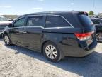 2014 Honda Odyssey Exl zu verkaufen in Cahokia Heights, IL - Hail