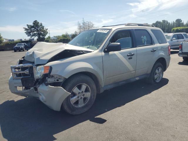 2009 Ford Escape Xlt