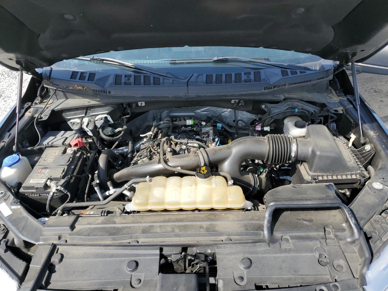 1FTEW1EPXLFA32634 FORD F-150 2020