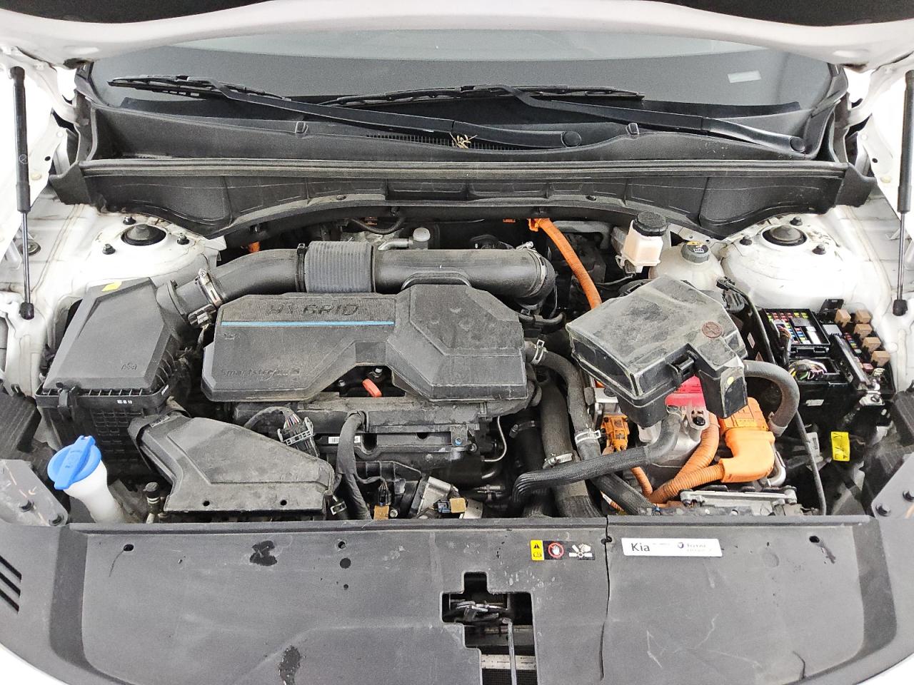 2022 Kia Sorento S VIN: KNDRGDLG3N5124969 Lot: 54010325