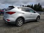 2018 Hyundai Santa Fe Sport  na sprzedaż w Graham, WA - All Over