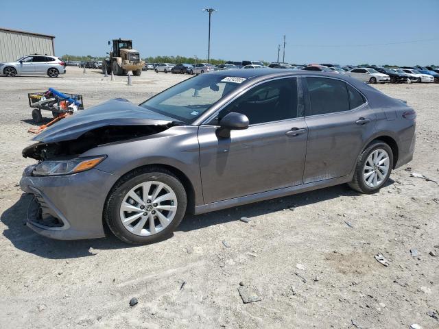  TOYOTA CAMRY 2024 Szary