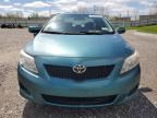 2010 Toyota Corolla Base   de vânzare în Leroy, NY - Rear End
