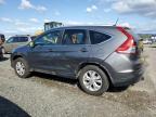 Eugene, OR에서 판매 중인 2014 Honda Cr-V Exl - Side