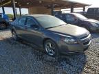 2009 Chevrolet Malibu Ls for Sale in Tanner, AL - Front End