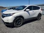 2019 HONDA CR-V LX à vendre chez Copart ON - OTTAWA