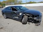 2024 Audi A6 Premium Plus იყიდება Glassboro-ში, NJ - Side