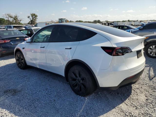  TESLA MODEL Y 2024 Biały