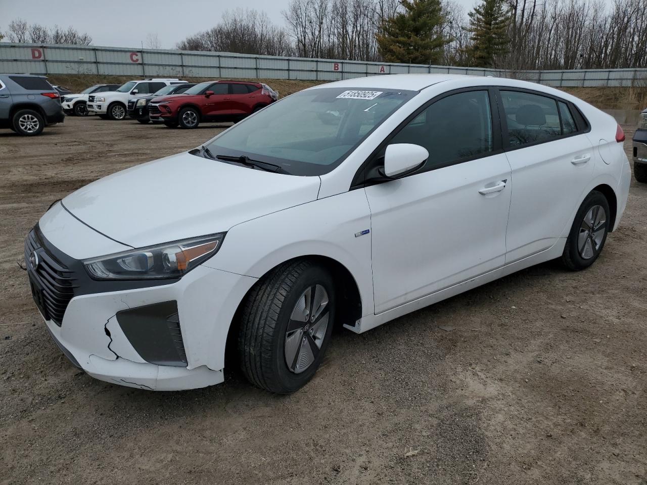 2019 Hyundai Ioniq Blue zu verkaufen in Davison, MI - Front End