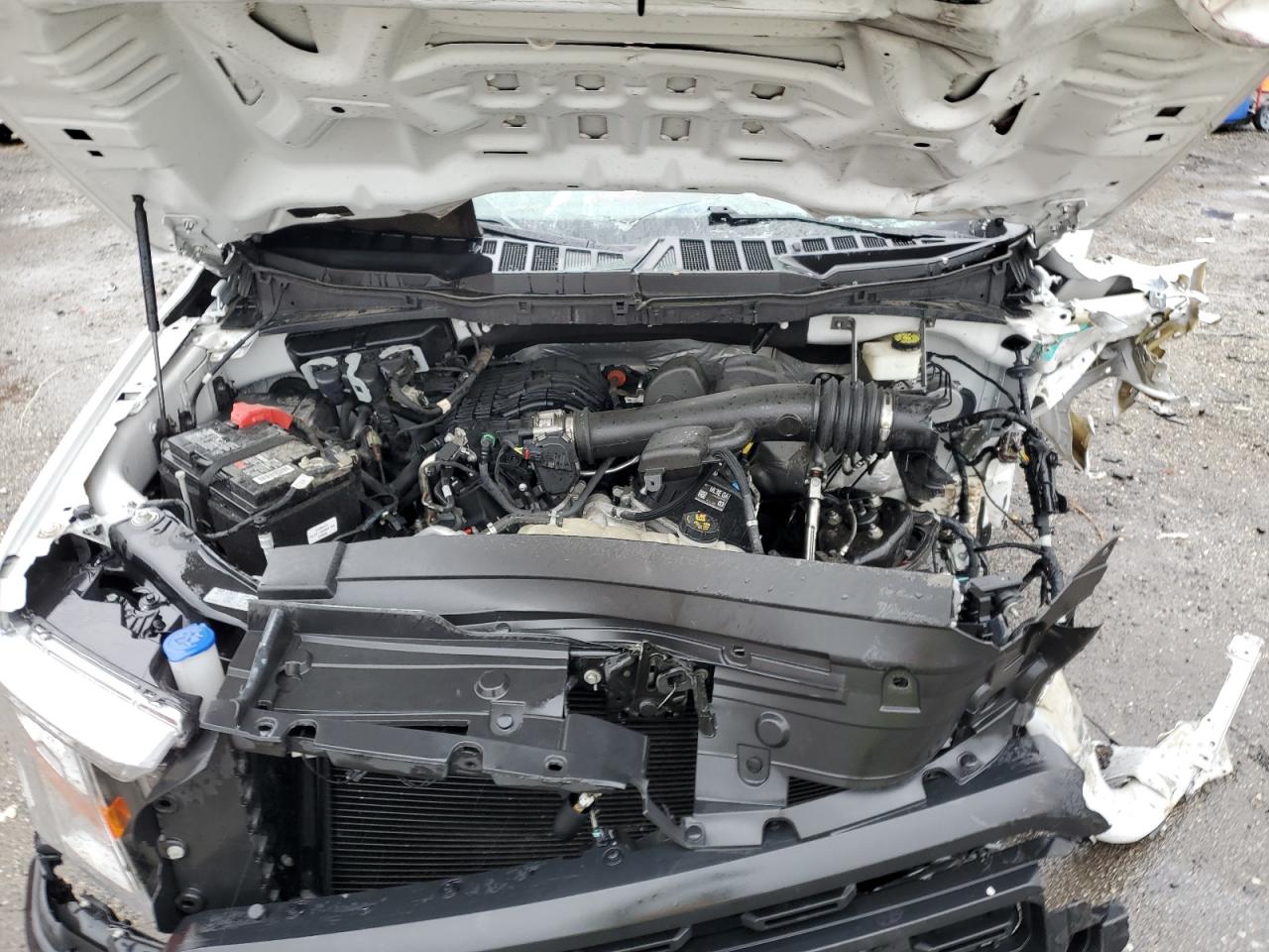 1FTMF1CB2MKE24678 FORD All Models 2021