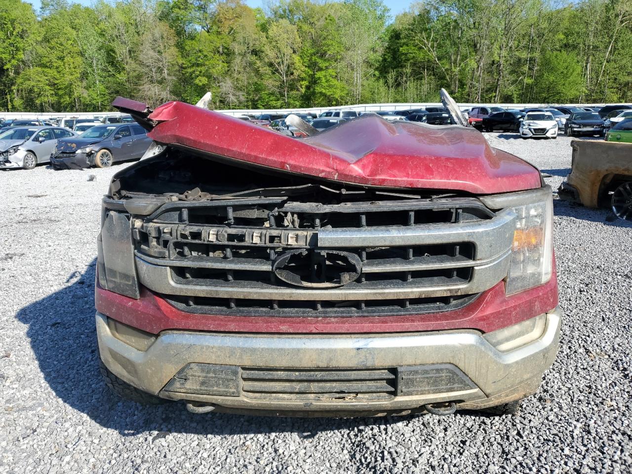 1FTFW1E55MKD84130 FORD F-150 2021