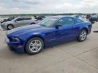 2014 Ford Mustang  for Sale in Grand Prairie, TX - Rear End