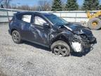 2015 Toyota Rav4 Xle zu verkaufen in Albany, NY - Front End