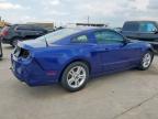 2014 Ford Mustang  for Sale in Grand Prairie, TX - Rear End