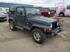2002 Jeep Wrangler / Tj Sahara იყიდება Woodhaven-ში, MI - Minor Dent/Scratches