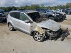 2013 Ford Escape Sel en Venta en Jacksonville, FL - Burn - Engine