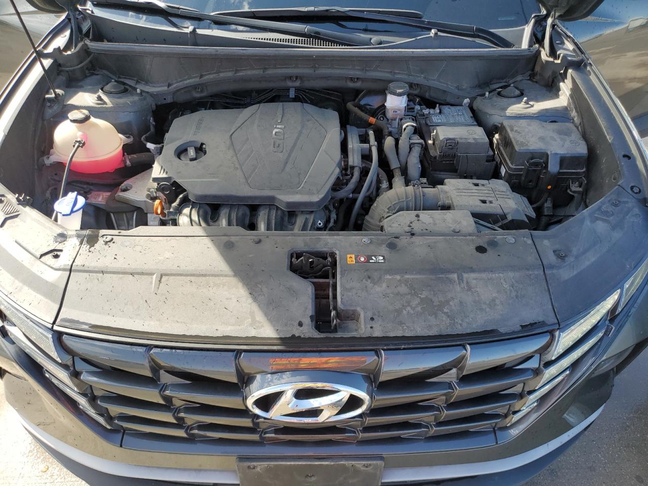 2023 Hyundai Tucson Sel VIN: 5NMJBCAE8PH232818 Lot: 53865755
