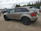 2013 FORD EDGE SEL à vendre chez Copart ON - TORONTO