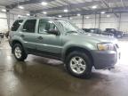 2007 Ford Escape Xlt for Sale in Ham Lake, MN - Front End