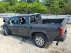 2025 Toyota Tacoma Double Cab للبيع في Hampton، VA - All Over